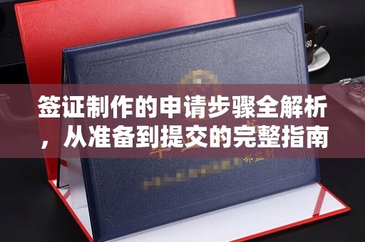 抚松签证制作的申请步骤全解析，从准备到提交的完整指南