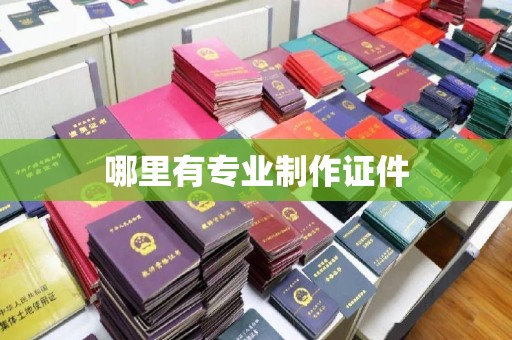 抚松哪里有专业制作证件